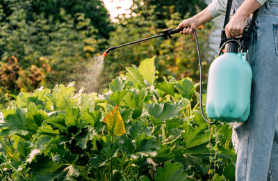 spraying pesticides