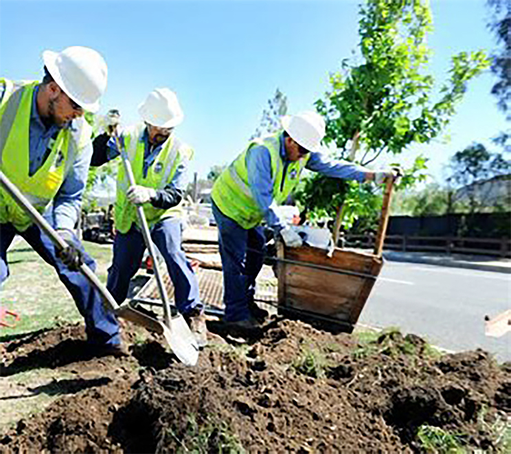 Landscape contractors in NJ working